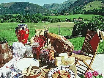 Restaurant Du Fronton - Maison Bonnet 3* Итсасу